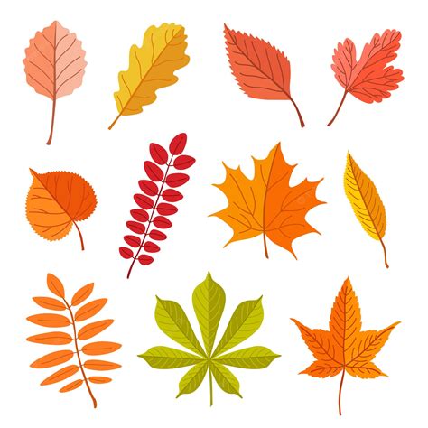 7 Places to Find Free Fall Leaves Clip Art Images .